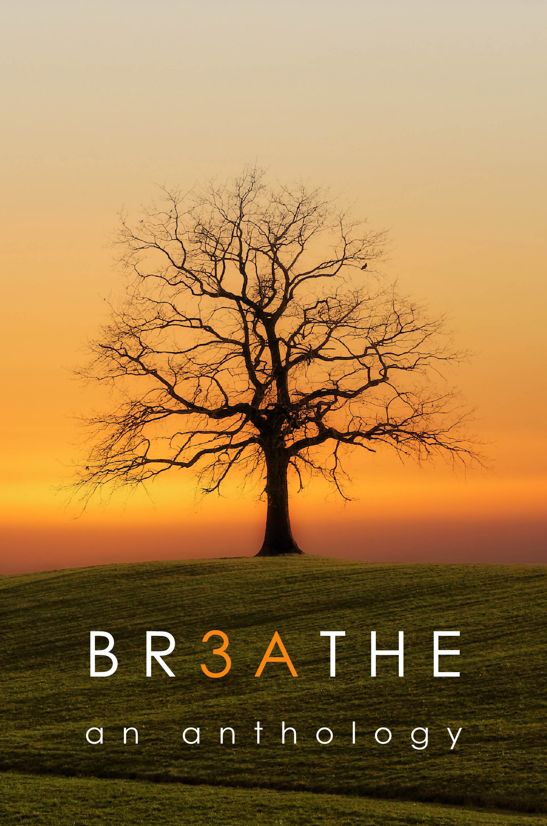 breathe front cover orange title